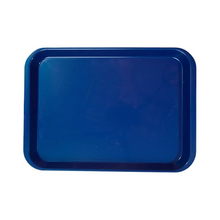 Load image into Gallery viewer, B LOK Instrument Tray